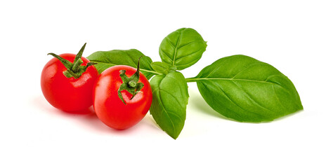 Organic Basil leaves, isolated on white background.