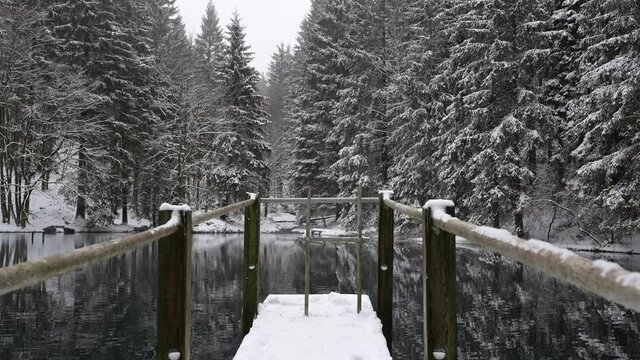 Th&uuml;ringer Wald: Pfanntalsteich bei Oberhof im Winter
