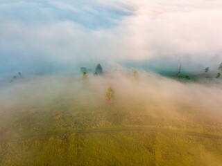 Fototapeta premium A thin layer of fog floats across the ridge at dawn. Fir trees grow on the slope. Ukrainian Carpathians in the morning. Aerial drone view.