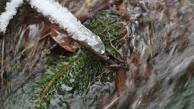 Th&uuml;ringer Wald: Pfanntalsteich bei Oberhof im Winter