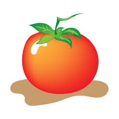 Ripe red tomato with a green stem on a light background