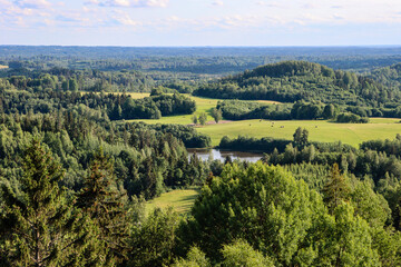Landscape with forests, meadows and river