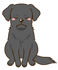 落ち込むラブラドールレトリバー（ブラック）
