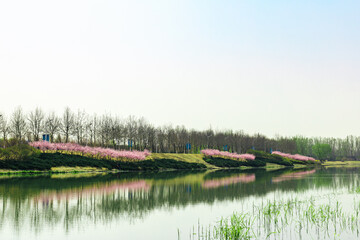 Fototapeta premium China Beijing Summer Palace misty lake and tree view