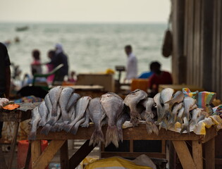 Fototapeta na wymiar Nouakchott. Mauritania. October 07, 2021. Fresh sea fish on the counter of the fish market on the Atlantic Ocean, which is brought daily at dawn by local fishermen.