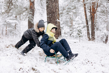 Fototapeta na wymiar Happy children sledding down in winter snowy forest. Teenage boys having fun riding sledge and playing on frosty day. Wintertime activity outdoors. Two joyful friends in warm clothes walking in nature