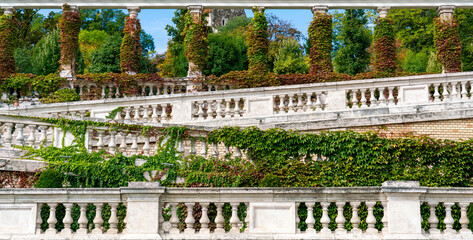 Balustrade with ivy, white marble serpentine with autumn leaves, Budapest