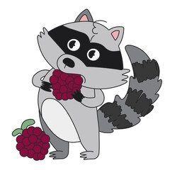 Cute cartoon raccoon standing and eating raspberries. A funny grey raccoon is looking aside like it watching the show. Vector clip art illustration in 2D. Hand-drawn simple style.