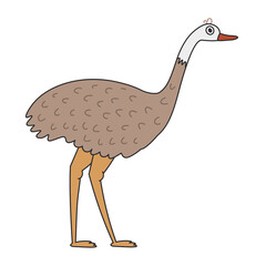 Cute cartoon ostrich standing and looking aside. A funny brown ostrich inclining the body downward. Vector clip art illustration in 2D. Hand-drawn simple style.