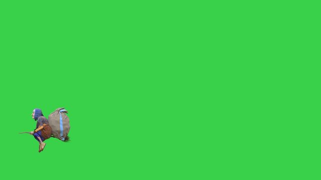 Befana Green Screen Old Lady on the Broom Perchta Frigg Holda Bertha Berchta 3D Animation 4K