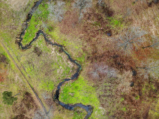 A winding river, a stream in the autumn park of the forest. Multi-colored textures. Aerial drone view. Flying over. View from top down.