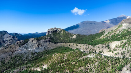 Canary islands, Tenerife, mountain, forest, trip