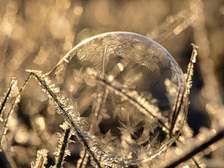 soap bubble on which ice crystals have formed due to the frost. in the light of the setting sun.