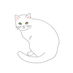 座る白猫のリアルタッチなイラスト