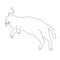 寝る白猫のリアルタッチなイラスト