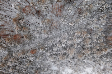Aerial View Of Snow Covered Trees In Forest During Winter season.