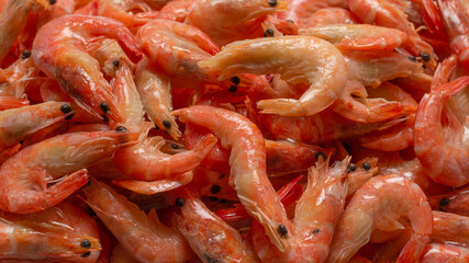 Shrimps background texture. A lot of shrimps. Cooked shrimps.