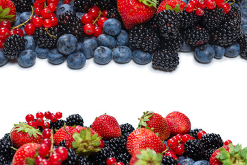 Blackberry, raspberry, blueberry,  red currant and mint background.
