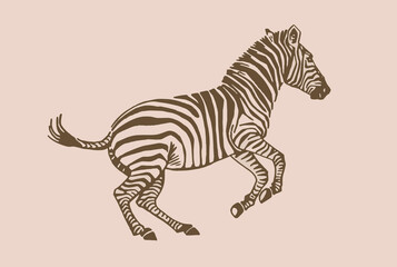 Vector zebra jumping, graphical  sepia illustration, savanna African animal