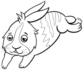 cartoon sleepy dwarf rabbit animal character coloring book page