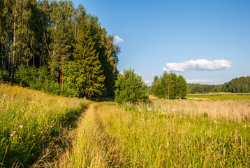 Summer landscape on a sunny day. Forest, meadows and blue sky with clouds.