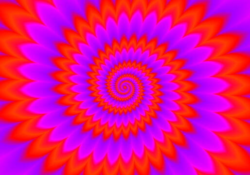 Scarlet flower. Red flower blossom. Motion illusion.