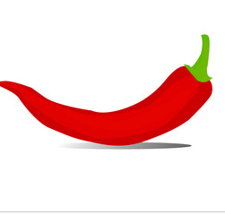 Chili papper icon on the white background