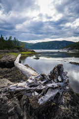 Fototapeta na wymiar View on Anse à la Barque at low tide, a cove of the Saguenay fjord located near Tadoussac, in Cote Nord region of Quebec, Canada