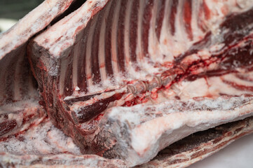 Raw lamb ribs on white background