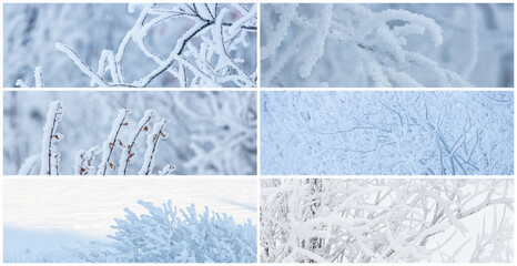 Collection of winter panoramic backgrounds with trees and bushes covered with hoarfrost. Snow and rime ice on the branches. Hoar frost on plants. Cold snowy weather. Set of cool frosting textures.