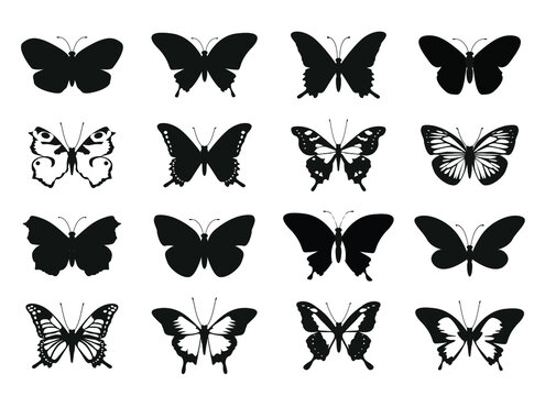 Set Butterfly. Vector outline icons.