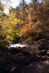 stream in autumn