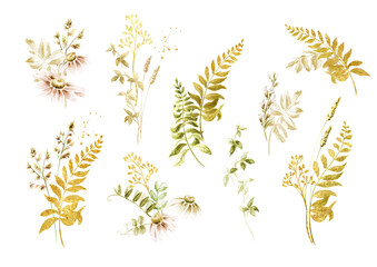 Wild grasses and  wildflowers set. Summer rural composition, bouquet, decor concept. Hand drawn watercolor illustration isolated on white background