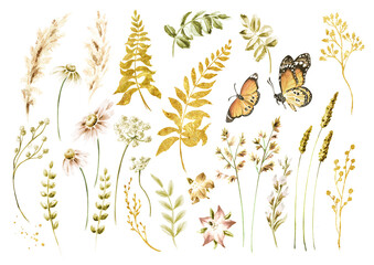 Wild grasses and wildflowers elements set. Summer rural composition, bouquet, decor concept. Hand drawn watercolor illustration isolated on white background