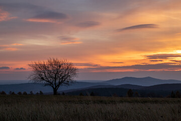 sunrise over the mountains
