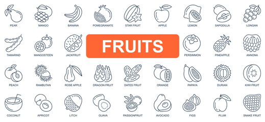 Fruits concept simple line icons set. Pack outline pictograms of mango, banana, pomegranate, apple, lemon, mangosteen, jackfruit, pineapple and other. Vector symbols for website and mobile app design