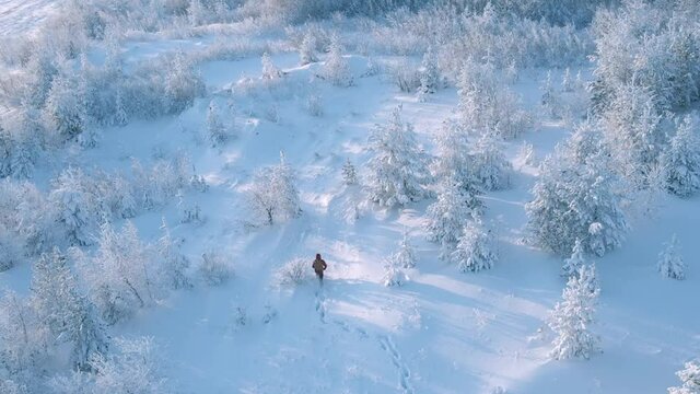 aerial view of a person walking in winter mountains