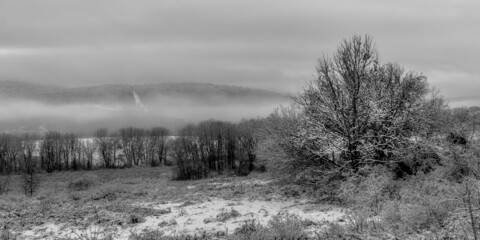 Black & White of snow and fog in a tree-lined field in Windsor in Upstate NY.