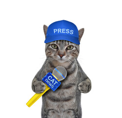 A gray cat journalist in a blue cap with a microphone. White background. Isolated. - 477176070