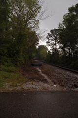 train tracks