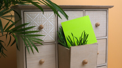 Green grass and note paper in a wooden box.