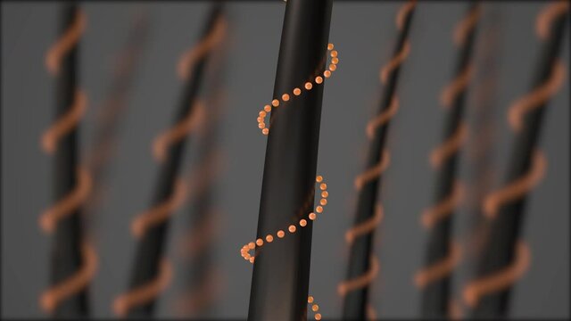 Hair care, Animation Nourish hair action of shampoo or serum. Repair Damaged Hair