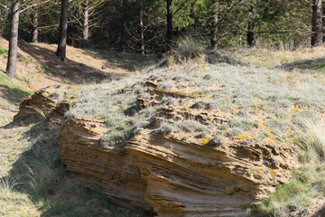 Detail of the fossil dune of Gorliz beach