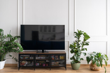 Large TV in spacious room with plants