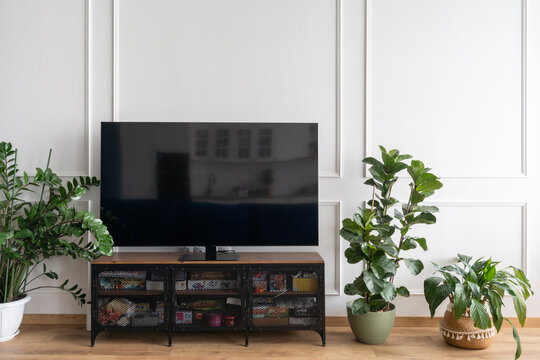 Large TV In Spacious Room With Plants