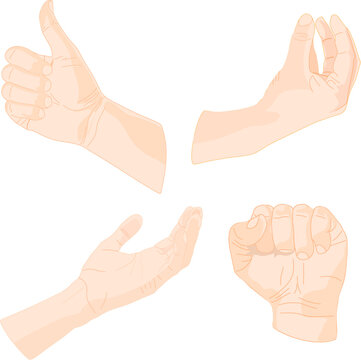 Grupo de diferentes manos de hombre blanco caucásico en distintas posiciones y formas N1