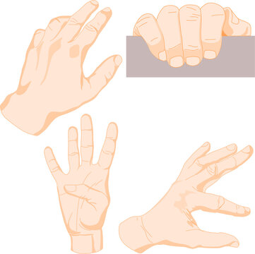 Grupo de diferentes manos de hombre blanco cauc&aacute;sico en distintas posiciones y formas N3