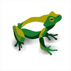 Frog vector image, colorful frog, tree frog logo, symbol