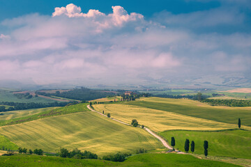 Fototapeta na wymiar Majestic foggy rural scenery with grain fields in Tuscany, Italy