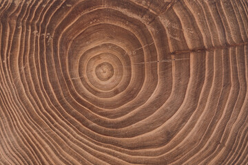 Fototapeta na wymiar Concentric brown wooden background with annual rings